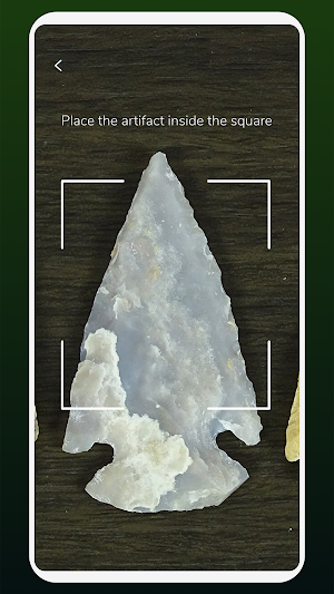 Arrowhead ID Screenshot 1
