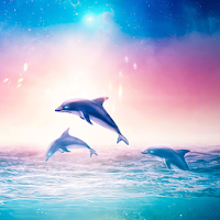 Relaxing Dolphin Sounds - Dolphin singing