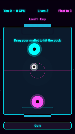 Play Hockey Screenshot 3