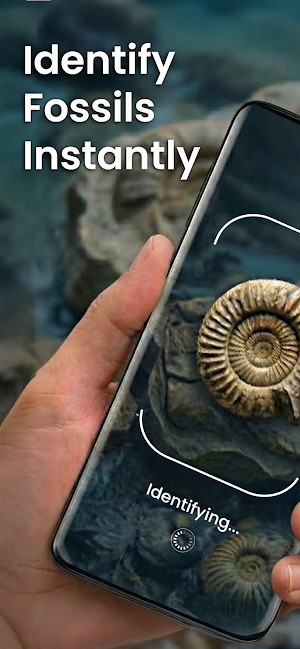 Fossil Identifier: Bone ID Screenshot 0