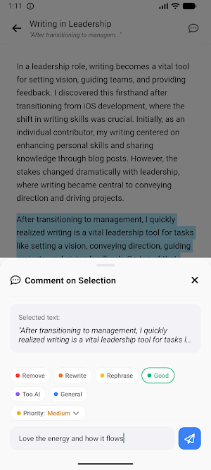 BlueTip Screenshot 2