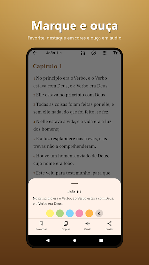 Bíblia Sagrada Offline Screenshot 3