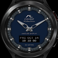 AE COVERT [POST MERIDIEM]