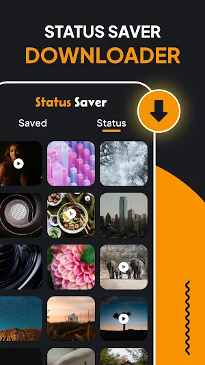 Video Downloader - Story Saver Screenshot 1