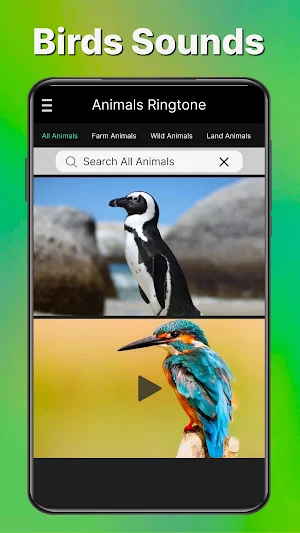 Animal & Bird Sounds Ringtones Screenshot 2