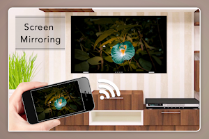 Screen Mirroring Screenshot 3