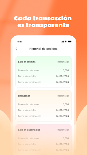 DineroAlVuelo Screenshot 2