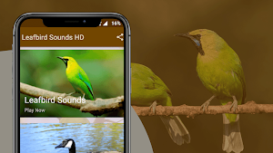 Leafbird Sounds Screenshot 1