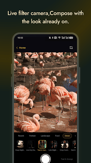 LumeoPrime: Filters & Presets Screenshot 3