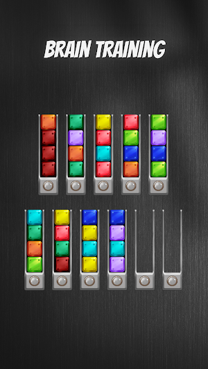 Block Sort Puz: Color Sorting Screenshot 2