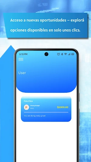 FinAr Screenshot 3