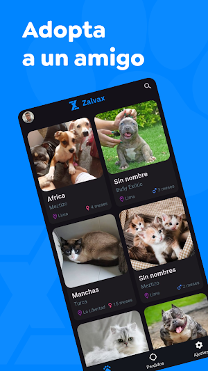 Zalvax Screenshot 1