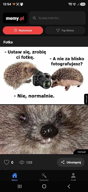 Memy.pl Screenshot 2