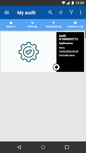 Audit Manager Punto Service Screenshot 2