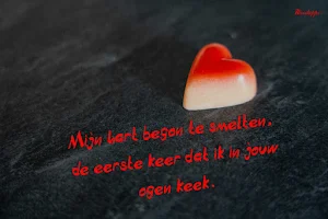 Liefdes zinnen Screenshot 3