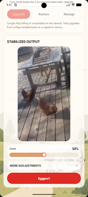 Gyro Chicken Video Stabilizer Screenshot 3