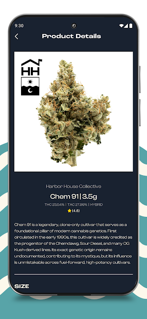 Harbor House Collective Screenshot 2