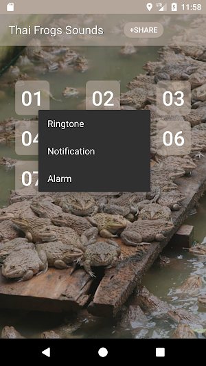 Thai Frog Sounds Screenshot 1