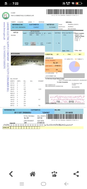 LESCO Bill Checker Screenshot 2