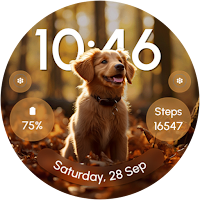 ReS52 - Cute Autumn Animals