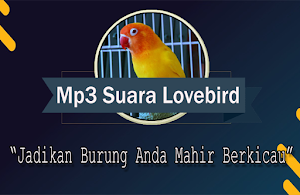Suara Burung Lovebird Betina Offline Screenshot 0