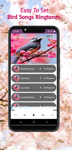 Bird Songs ringtones Screenshot 2
