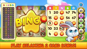 Bingo Pet Rescue - Free Offline Animal Garden Game Screenshot 1