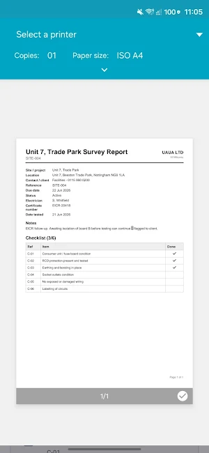 Site Audit Survey & PDF Report Screenshot 3