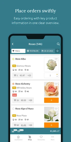 Schrama Screenshot 2