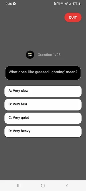 Idioms and Phrases Quiz Screenshot 1