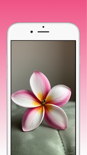 Plumeria Flower Wallpapers HD Screenshot 2