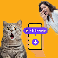 Human to Cat Translator