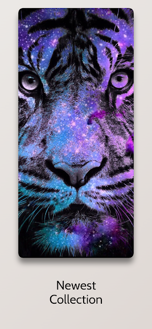 Cool Tiger Backgrounds 4k Screenshot 1