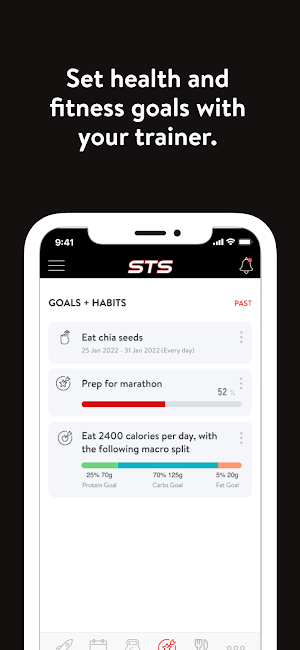 STS Online Screenshot 2
