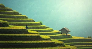 Farming wallpapers Screenshot 3