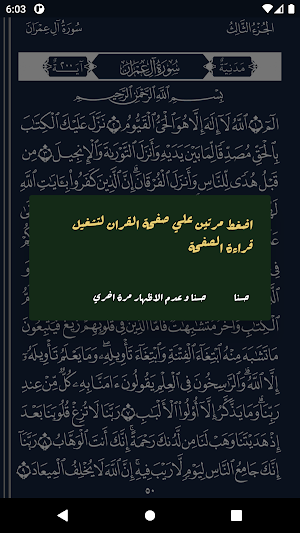 Quran Offline Screenshot 2