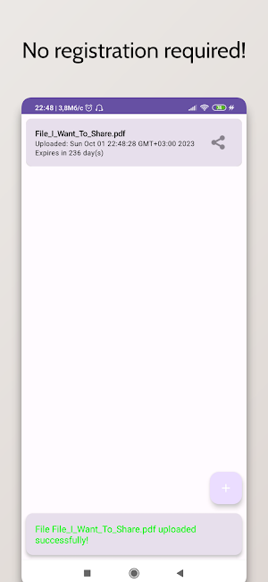 The Null Pointer Screenshot 1
