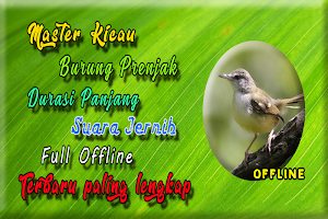 Suara Burung Prenjak MP3 Screenshot 2