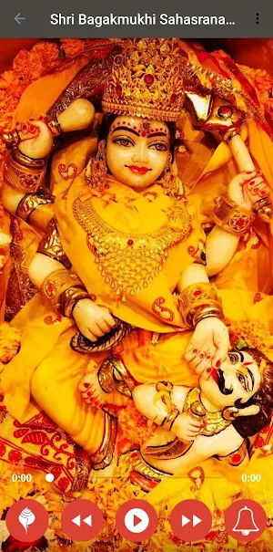 Shri Bagla Sahasranaam Stotram Screenshot 1