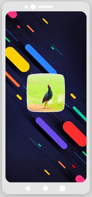 Watercock Sounds Screenshot 0