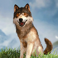 Wild Wolf Simulator 3D