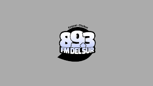 FM Del Sur 89.3 Screenshot 3