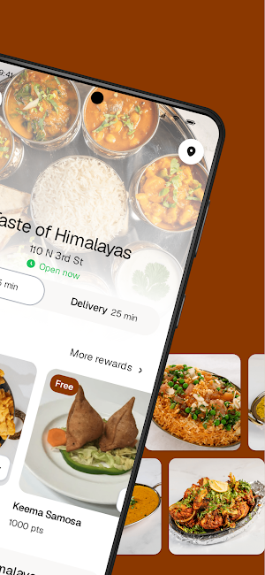 Taste of Himalayas Screenshot 1