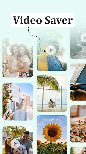 Video Downloader for Pinterest Screenshot 0