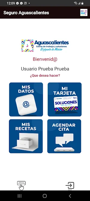 SEGUROAGUASCALIENTES Screenshot 1
