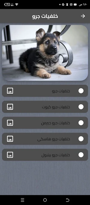 خلفيات جرو Screenshot 0