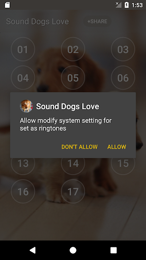 Sound Dogs Love Screenshot 2