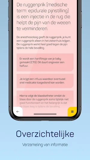 Pijngids Bevalling Screenshot 3