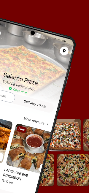 Salerno Pizza To Go Screenshot 1
