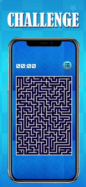 Puzzle Maze Quest Screenshot 2